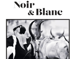 Noir et blanc, les masterclass de Michael Freeman