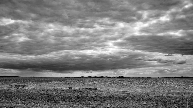 Paysage Paysage