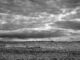 Paysage